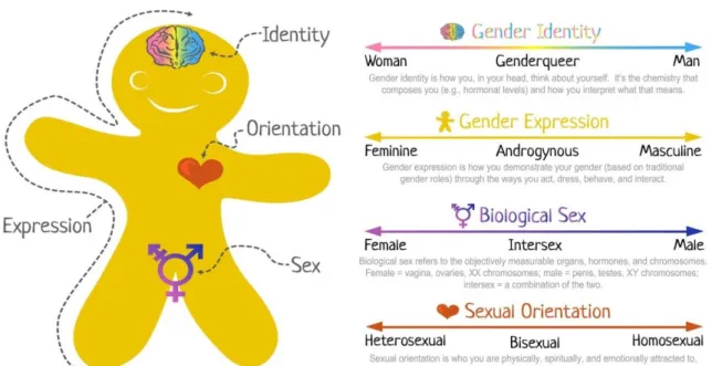 Figura 1 - Biscoito Sexual – modelo ilustrativo da independência entre  as diferentes instâncias relacionadas a sexo e gênero 