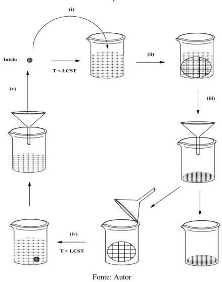 Figura 7  – Ilustração do processo de purificação de macromoléculas através da utilização de macrogéis  termorresponsivos 
