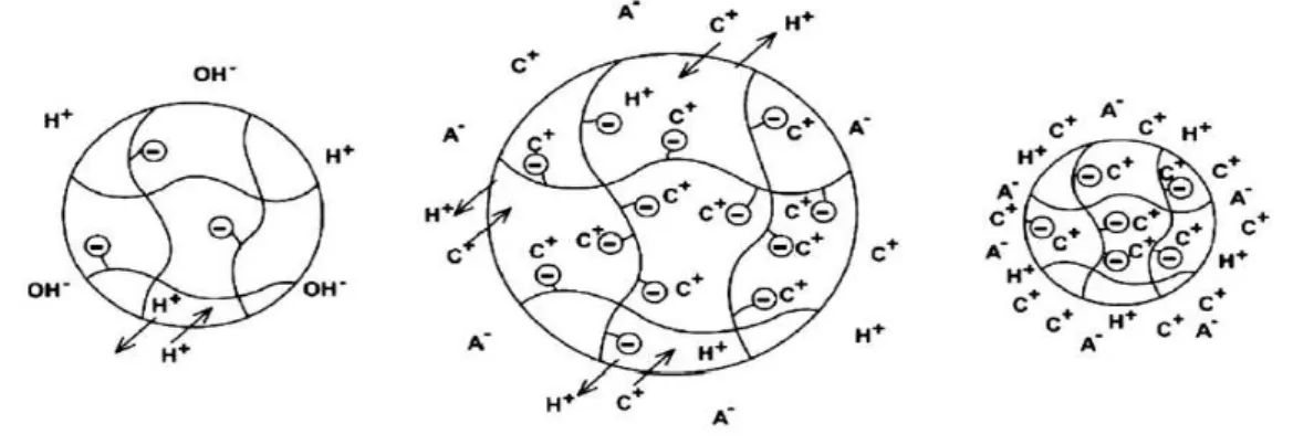 Figura 10  – Intumescimento/contração de um hidrogel pH-sensitivo aniônico em função da força iônica do meio