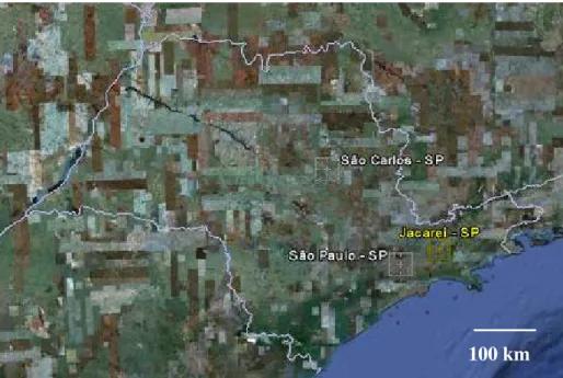 Figura 1: Localização da cidade de Jacareí, em referencia à outras                    cidades do estado de São Paulo ( imagem do Google Earth)