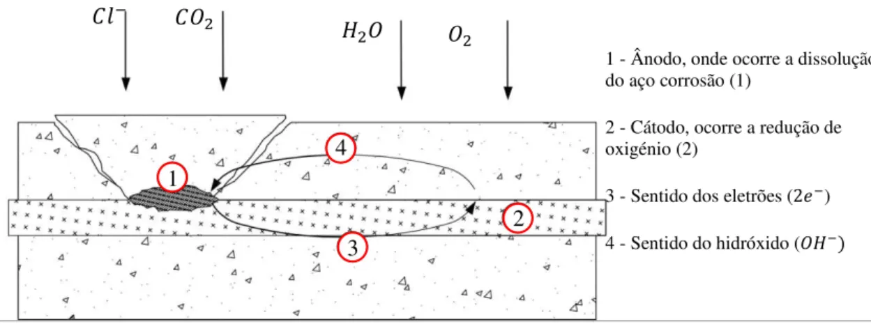 Figura 7: Ilustração das reações químicas do mecanismo de corrosão, adaptado de Andrade (2001) 