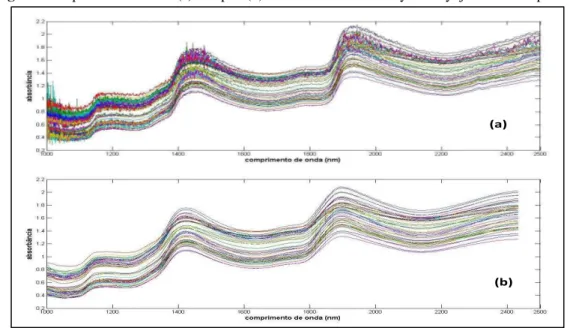 Figura 9- Espectro NIR antes (a) e depois(b) do alisamento Savitzky -Golay  janela de 71 pontos.