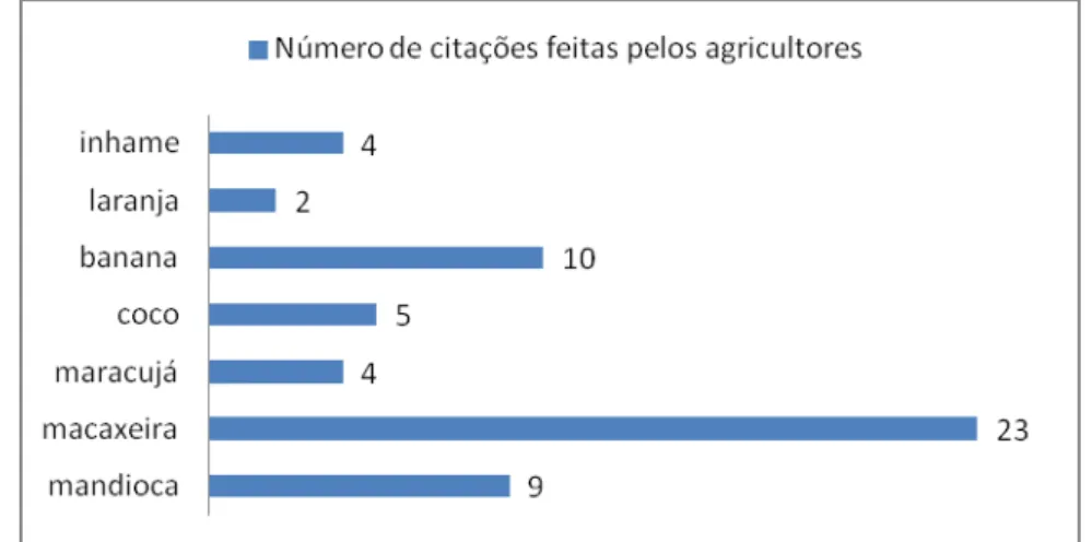 Gráfico 2: Número de citações de espécies de culturas perenes e anuais mais  citadas entre os agricultores e presentes no grande lote