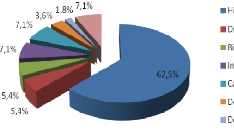 Figura 05: Distribuição percentual das causas da IRC. Natal/RN. 2012 