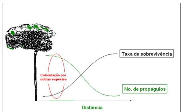 Figura  1.  Modelo  de  Janzen-Connell.  Com  o  aumento  da  distância  da  planta-mãe,  o  número  de  sementes  (nº  de  propágulos)  declina  rapidamente,  mas  a  probabilidade  de  sobrevivência aumenta