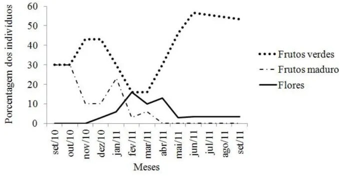 Figura 4. Porcentagem de indivíduos de Attalea dubia (n = 30) em diferentes fenofases  (frutos verdes, maduros ou flores) no Parque Estadual Carlos Botelho