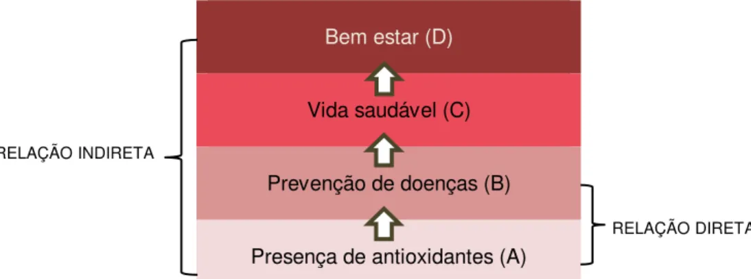 Figura 5  – Exemplo de relações diretas e indiretas entre elementos  Bem estar (D)