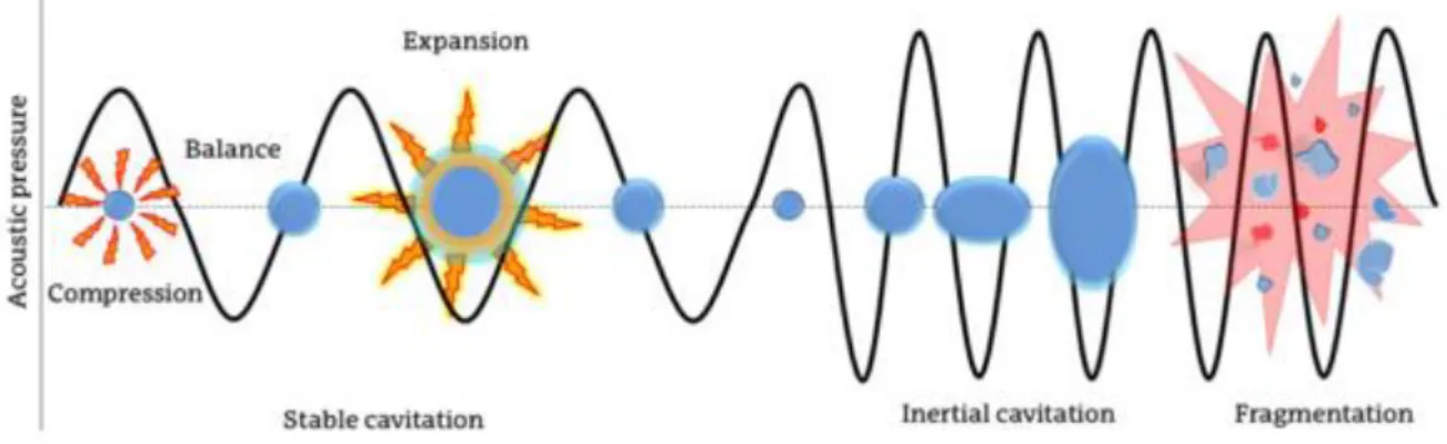 Figure 4 - USE extraction mode of action (adapted from Sánchez, 2015) 