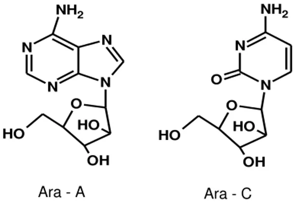 Figura 1 - Estruturas do Ara-A e Ara-C. 