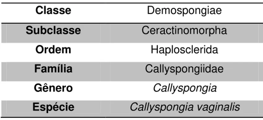 Tabela 1 - Classificação biológica de Callyspongia vaginalis. 