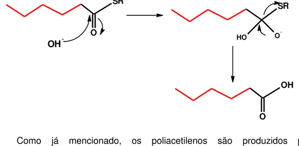 Figura 7 - Esquema de formação de ácidos graxos a partir do ácido oleico. SROOH -SROHO-O HO Ácido  eicosa-8,11,14-trióico  Ácido  Araquidônico Oxidação Oxidação Oxidação Ácido  oleico Ácido linoleico Ácido  -linolênico Outra acilação  Fonte: Autor, 2013
