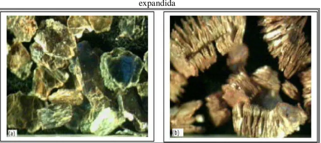 Figura 2.5 - Amostras de vermiculita : (a) vermiculita natural; (b) vermiculita  expandida  