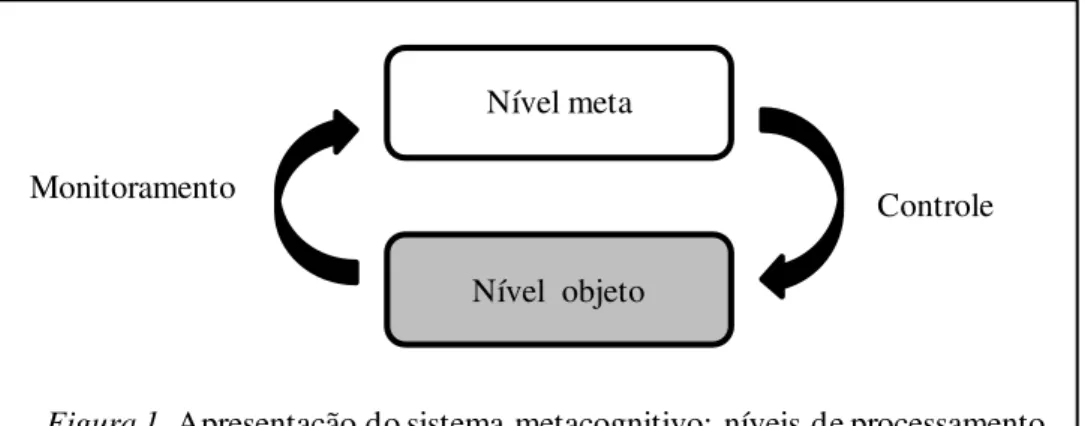 Figura 1. Apresentação do sistema metacognitivo:  níveis de processamento  cognitivo e  fluxo de informações entre eles