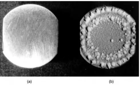 Fig. 2.9. Erosion of 1 cm diameter tip; (a) initial surface;