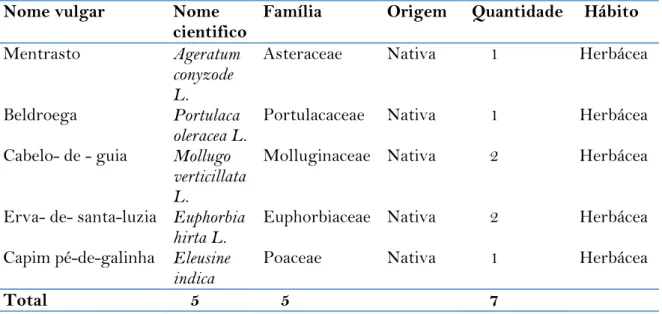 Tabela  1.  Plantas  invasoras  encontradas  em  cultivos  de  agricultores  familiar  na  comunidade de Laranjal, Arapiraca, Alagoas, 2017