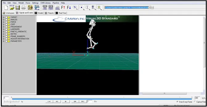 Figura 14:  Associação do modelo biomecânico a uma coleta dinâmica no Visual 3D 