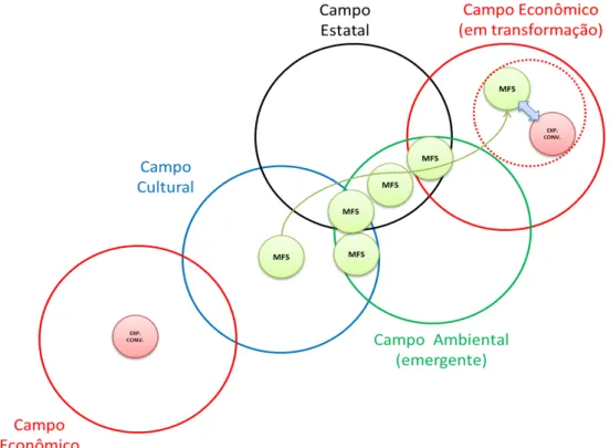 FIGURA 1  –  Percurso do MFS (círculo verde) do campo cultural ao campo econômico onde  confronta com a exploração madeireira convencional (círculo vermelho)