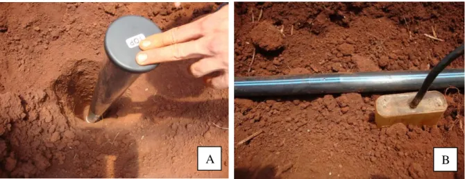 Figura 4 – Instalação de um dos tubos de acrílico para acesso do scanner de raízes (A), sonda  TDR na camada de 0,20 a 0,40 m próxima ao gotejador (B) e posicionamento das sondas a duas  profundidades no solo (C)