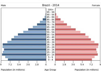 Figure 3: Population pyramid of Brazil 
