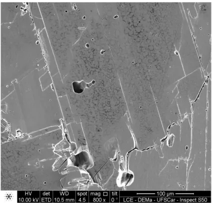 Figura 4.20: Imagem de MEV de superfície polida e termicamente atacada  da  Mistura 1 sinterizada a 1600 ºC  –  10 min / 1475 ºC  –  600 min