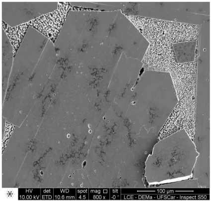 Figura 4.40: Imagem de MEV de superfície polida e termicamente atacada da  Mistura 2 sinterizada a 1600 ºC  –  5 min / 1475 ºC  –  120 min