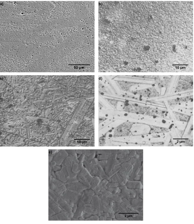 Figura  2.7:  Imagens  de  microscopia  eletrônica  de  varredura  em  superfície  polida  e  termicamente  atacada  de  diferentes  amostras  de   β’’ -alumina, sinterizadas a (a) 1600 ºC  –  30 min, adaptado de [8]; 