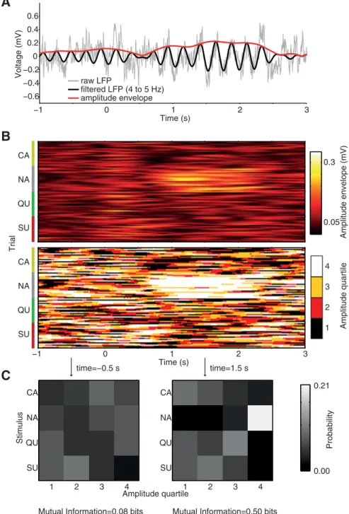 Figure 2. Estimating taste information in LFP amplitude. A, Raw LFP (gray) and filtered signal (black) and its amplitude envelope (red) for an example trial