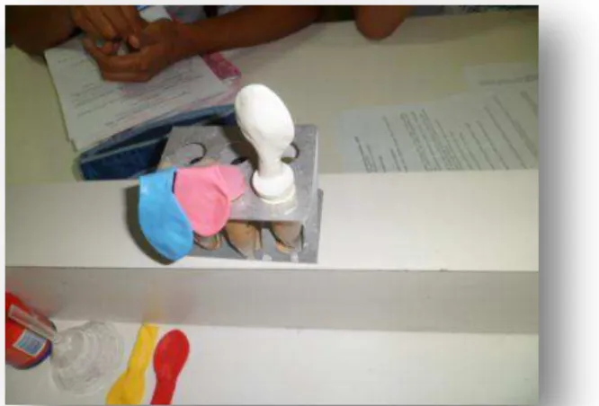 Figura 6  – Resultado do experimento “Comer, comer para poder crescer”.  