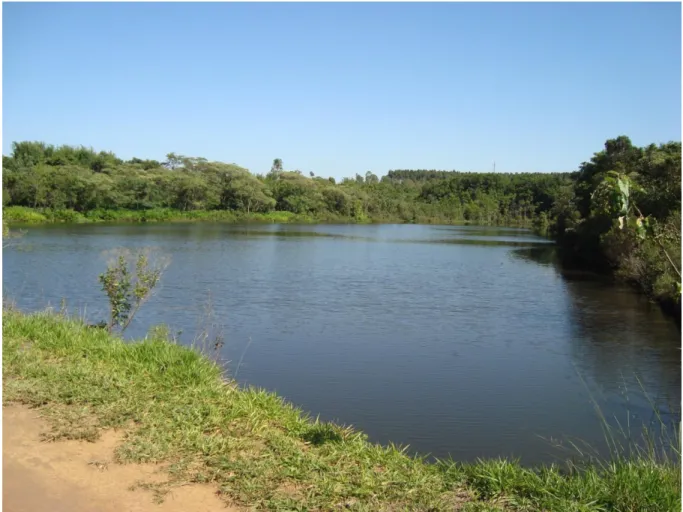 Figura 3 -  Vista da represa do Fazzari situada dentro do campus da Universidade Federal de  São Carlos (SP) e da vegetação de suas margens (cerrado)