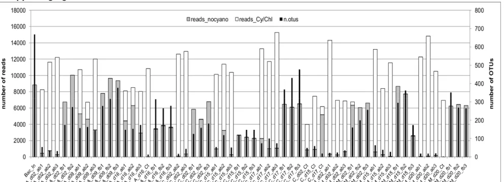 Figure 1.S1 – Numbers of non-cyano/chlo granulata (A), C. raciborskii (C), and M. aeru living bacteria)