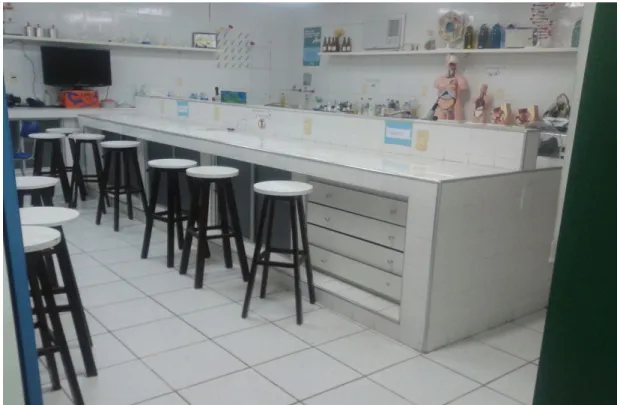 FOTO 29: SALA DO LEC 