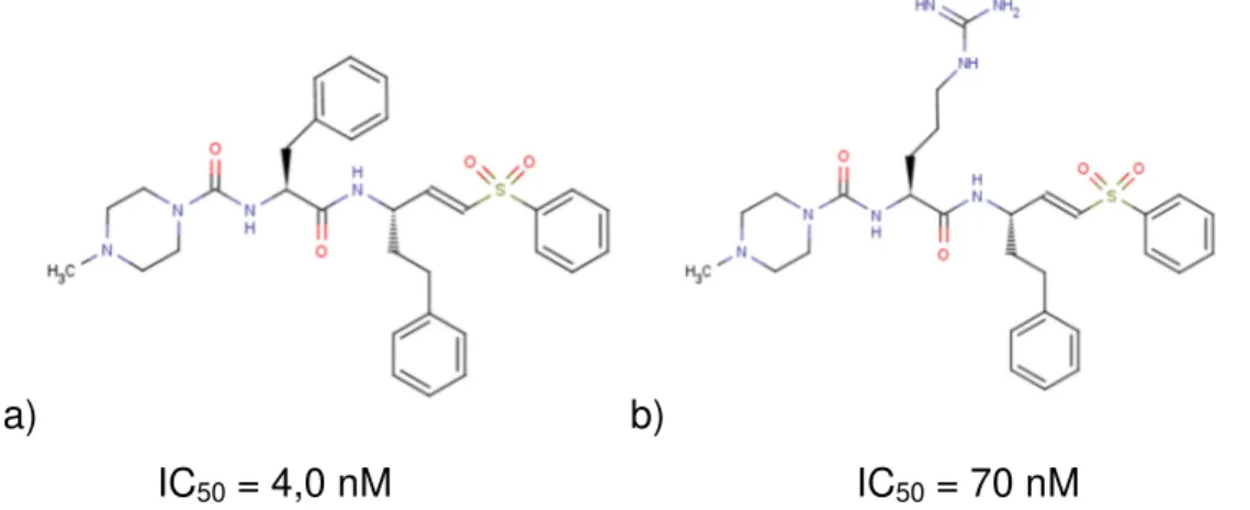 FIGURA 1.11: Representação da estrutura molecular do composto a) K11777 e seu análogo  b) WRR-483 