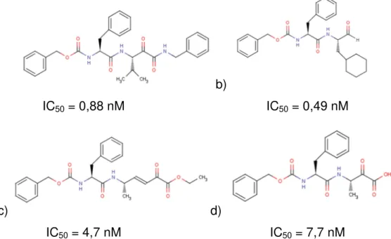 FIGURA 1.15: Estruturas químicas representativas das classes a) Ceto amida, b) aldeído, c)  ceto Ester e d) ceto ácido, potentes inibidores na cruzaína 
