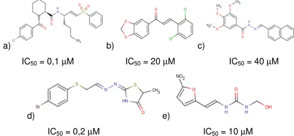 FIGURA  1.17:  Estruturas  químicas  representativas  das  classes  a)  vinilsulfonas  não  peptídicas, b) chalcona, c) tiosemicarbazonas, d) hidrazida e e) hidroximetilfurazona 