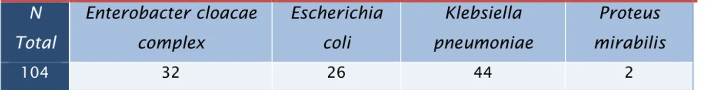 Tabela 5: Isolados estudados da família Enterobactereaceae 
