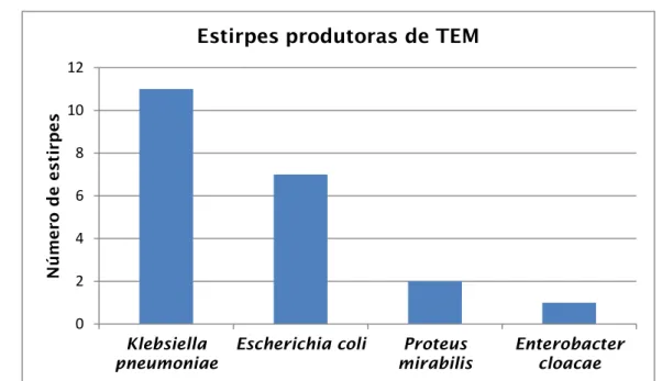 Tabela 7: Distribuição dos isolados produtores de TEM pelos diferentes Serviços do CHP