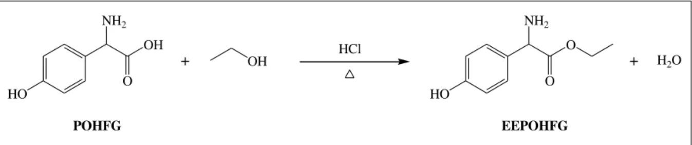 Figura 3.3. Visão geral da reação de esterificação da p-hidroxifenilglicina (POHFG) com etanol (ETOH) para a  produção do éster etílico da p-hidroxifenilglicina (EEPOHFG), empregando HCl como catalisador da reação sob  aquecimento constante