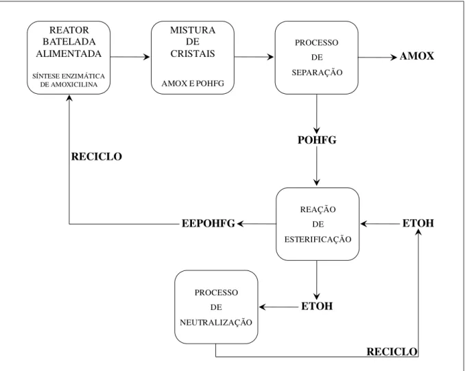 Figura 3.5.  Conceito global do processo integrado “verde”, com recuperação da  p-hidroxifenilglicina (POHFG)  a  partir  de  uma  mistura  de  cristais composta por amoxicilina  e  POHFG,  seguida  pela  reutilização da  POHFG  para a produção de éster et