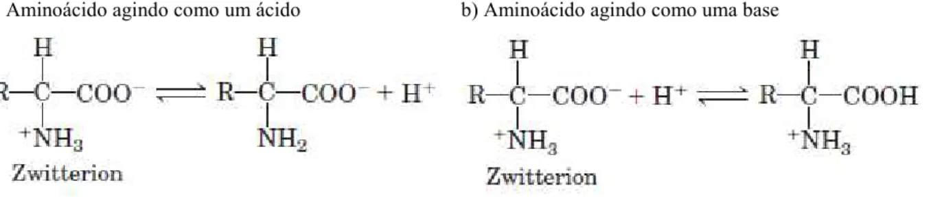 Figura 2.1 – Comportamento ácido ou básico de um aminoácido em uma solução