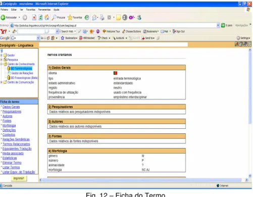 Fig. 12 – Ficha do Termo 