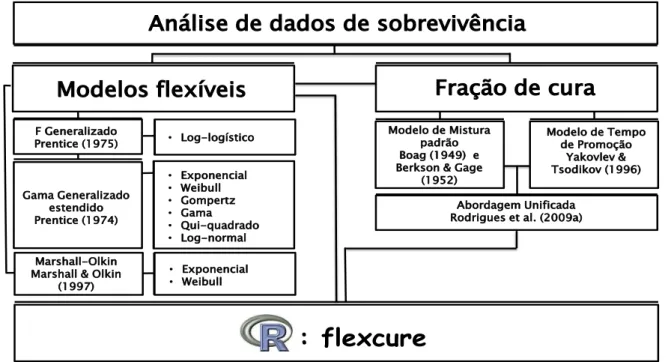 Figura 3 – Esquema descritivo dos recursos dispon´ıveis atrav´es do pacote flexcure.