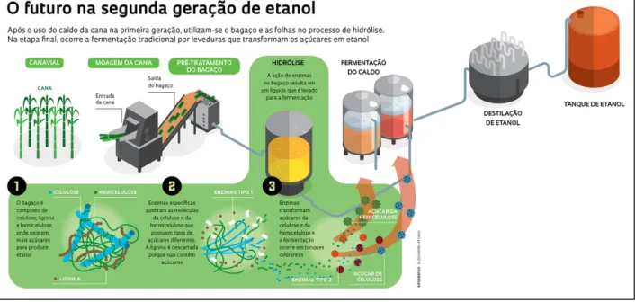 Figura  6.  Esquema  de  representação  das  etapas  de  produção  do  etanol  2G  (Revista  Fapesp, 2012)