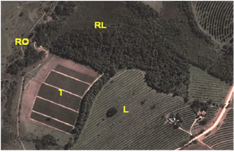 Figura 2 - Fazenda Cercado Grande: área de cultivo de tomate (T), Rio Oriçanga (RO), área  de Reserva Legal (RL), área de cultivo de laranja (L) (Fonte: Google Earth; altitude do ponto  de visão: 1,36 km) 