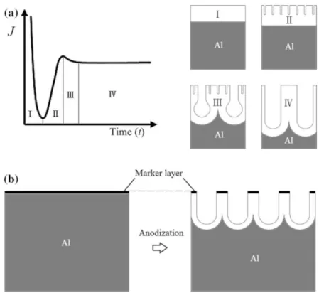 Figura 3 - Esquema de formação da alumina anódica porosa: a) densidade de corrente obtida  durante o processo e b) estrutura da alumina anódica não-porosa antes e depois da anodização
