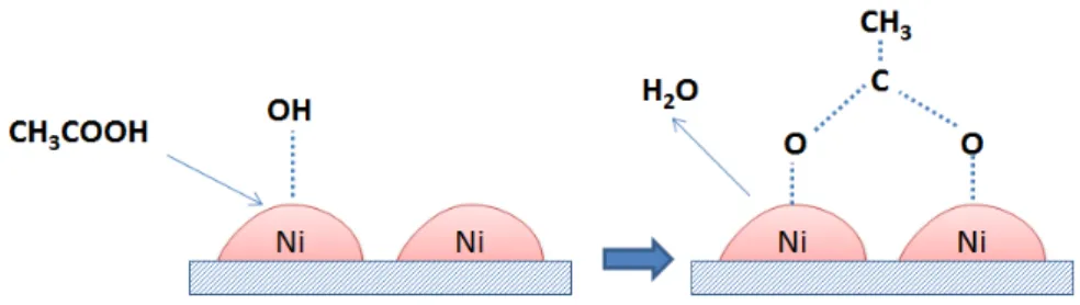 Figura 4 - Mecanismo de adsorção do ácido acético sobre filmes finos de NiO. Fonte: 