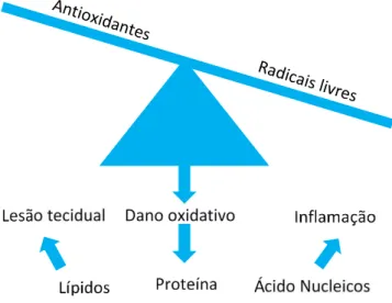 Figura 5. Representação esquemática do stress oxidativo (adaptado de Kelly [67]). 