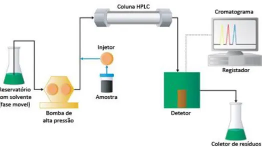 Figura 9. Esquema do sistema HPLC (adaptado de Pinto [98]). 