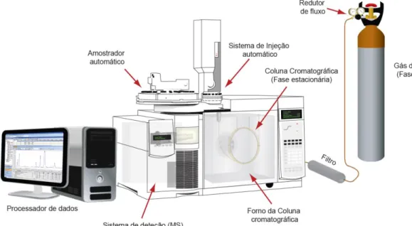Figura 10. Esquema básico de um equipamento de cromatografia gasosa acoplado a um  espectrómetro de massa (GC-MS)