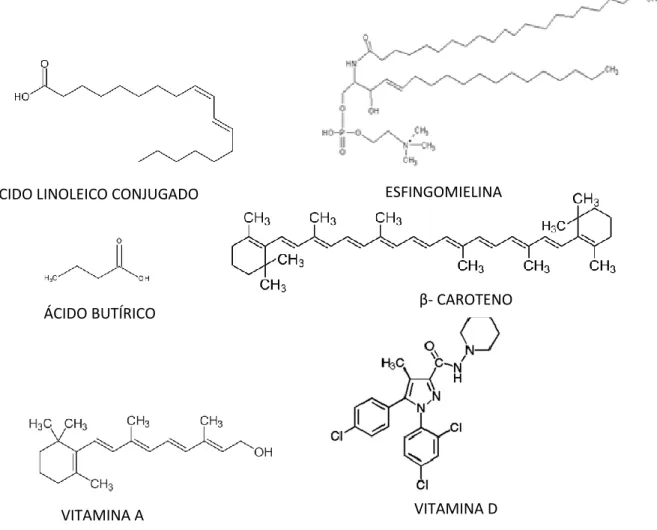 Figura 3: Estruturas químicas do ácido linoleico conjugado, da esfingomielina, ácido  butírico, β caroteno, vitamina A e vitamina D