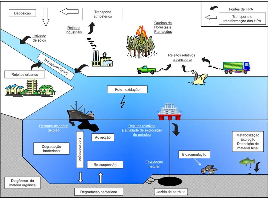 Figura 2.3. Esquema de origem, transporte e transformação dos HPA no meio ambiente (adaptado de Nadalig, 1998).